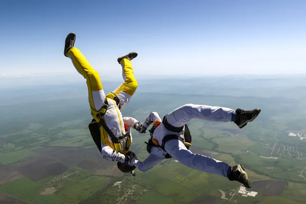 Two skydiver. — Stock fotografie