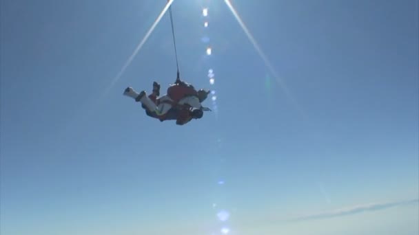Skoki spadochronowe wideo — Wideo stockowe