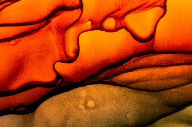 Soyut parlak renk sıvısı arka plan, elle çizilmiş alkol tablosu. Arkaplan tasarımı için sıvı mürekkep dokusu