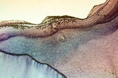 Soyut parlak parlak renk akışkan arka plan, altın çizgili el yapımı alkol tablosu. Sıvı mürekkep tekniği arkaplan tasarımı