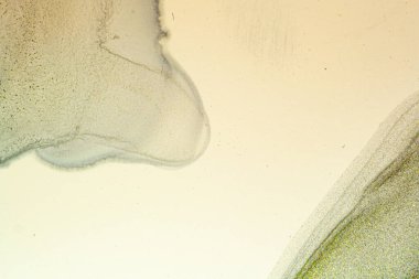 Soyut parlak parlak renk akışkan arka plan, altın çizgili el yapımı alkol tablosu. Sıvı mürekkep tekniği arkaplan tasarımı