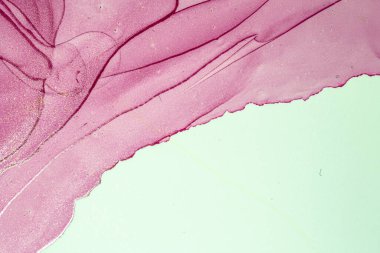 Soyut parlak parlak renk akışkan arka plan, altın çizgili el yapımı alkol tablosu. Yüksek çözünürlüklü arkaplan tasarımı için sıvı mürekkep dokusu