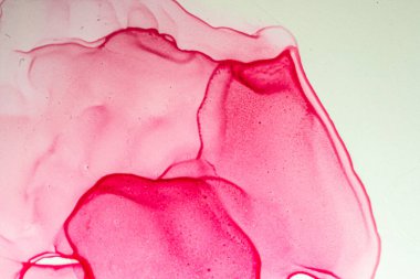 Soyut parlak parlak renk akışkan arka plan, altın çizgili el yapımı alkol tablosu. Yüksek çözünürlüklü arkaplan tasarımı için sıvı mürekkep dokusu