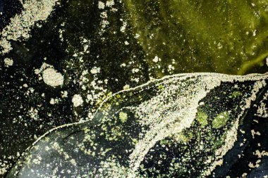 Soyut parlak parlak renk akışkan arka plan, altın çizgili el yapımı alkol tablosu. Yüksek çözünürlüklü arkaplan tasarımı için sıvı mürekkep dokusu