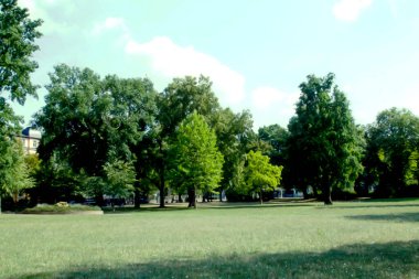 Güneşli bir yaz gününde güzel yeşil bir parkın sanatsal gerçekçi bir çizimi. Kenar mahalle manzarası