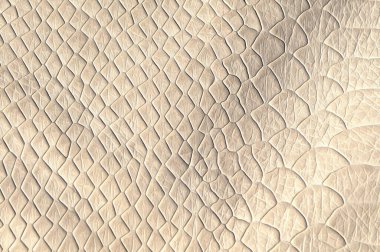 Bej yılan derisi dokusunun sanatsal gerçekçi çizimi, parlak grunge arkaplan