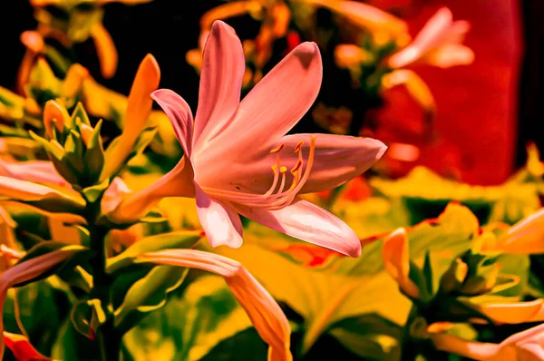 Künstlerische Realistische Illustration Von Getönten Natürlichen Floralen Hintergrund Design Mit — Stockfoto