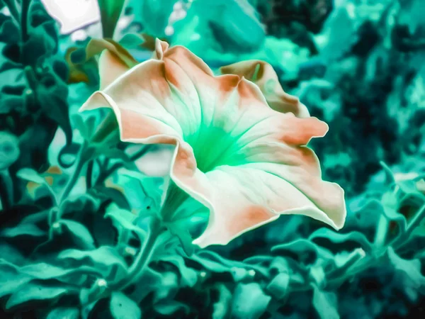Artystyczna Realistyczna Ilustracja Stonowanego Naturalnego Kwiatowego Tła Pięknym Kwiatem — Zdjęcie stockowe