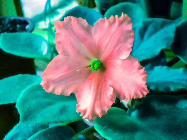 Художня Реалістична Ілюстрація Тонованого Природного Квіткового Фону Красивою Фіолетовою Квіткою — стокове фото
