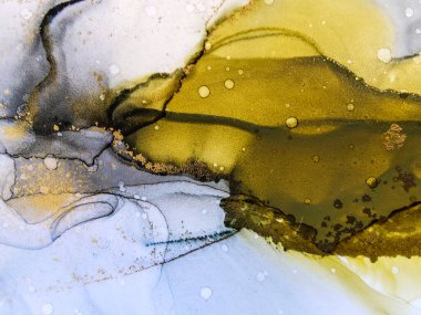 Soyut parlak parlak renk akışkan arka plan, altın çizgili el yapımı alkol tablosu. Arkaplan tasarımı için sıvı mürekkep dokusu