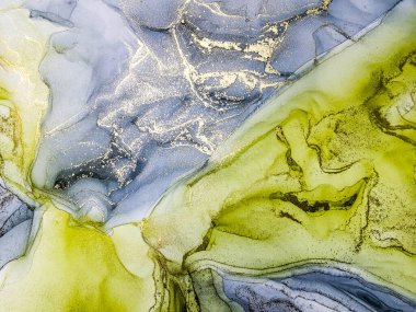 Soyut parlak parlak renk akışkan arka plan, altın çizgili el yapımı alkol sanat tablosu. Arkaplan tasarımı için sıvı mürekkep dokusu