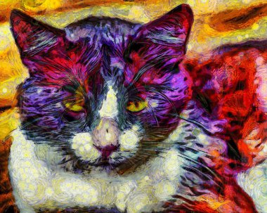 Yağlı boya boya, evcil kedi. Modern dijital sanat, izlenimcilik tekniği. Vincent van Gogh tarzının taklidi