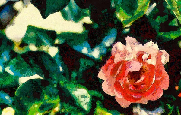 Oil painting - blooming rose flower. Modern digital art, impressionism technique. Imitation of Vincent van Gogh style