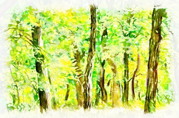 Watercolor Painting Park Landscape Modern Digital Art Imitation Hand Painted — Stok fotoğraf