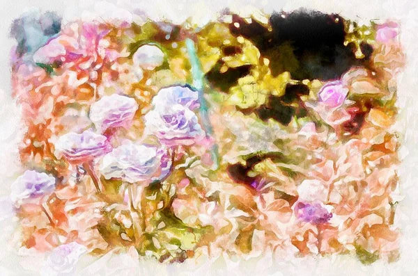 Çiçek Açan Suluboya Resimler Modern Dijital Sanat Akvaryumlarla Boyanmış Yapımı — Stok fotoğraf