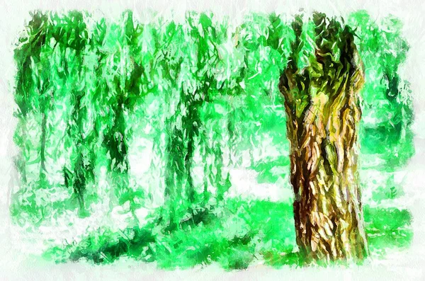 Pintura Aquarela Paisagem Com Árvores Parque Arte Digital Moderna Imitação — Fotografia de Stock