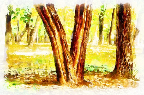 Watercolor painting of landscape with trees in park. Modern digital art, imitation of hand painted with aquarells dye