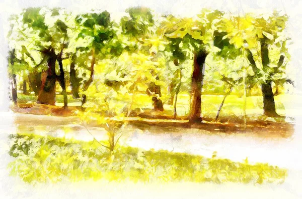 Watercolor Painting Landscape Trees Park Modern Digital Art Imitation Hand — Φωτογραφία Αρχείου