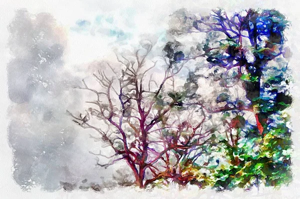 Watercolor Painting Nature Abstract Background Sky Top Tree Modern Digital — Φωτογραφία Αρχείου