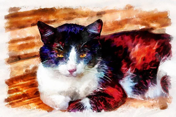 Watercolor painting of domestic cat. Modern digital art, imitation of hand painted with aquarells dye