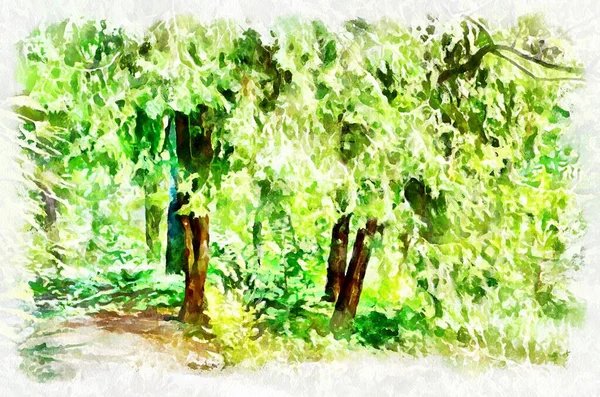 Watercolor Painting Landscape Trees Park Modern Digital Art Imitation Hand — Photo