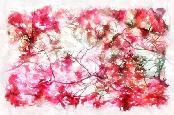 Watercolor Painting Nature Background Pink Tree Branches Modern Digital Art — стоковое фото