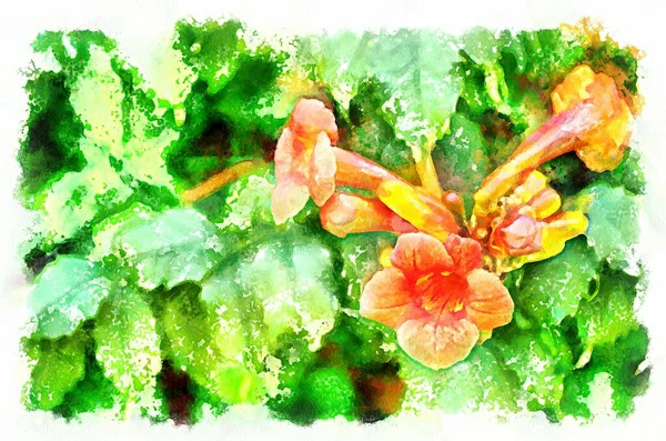 Watercolor Painting Blooming Flowers Modern Digital Art Imitation Hand Painted — Stock Photo, Image