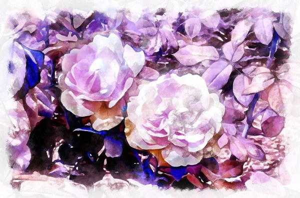 Watercolor Painting Blooming Flowers Modern Digital Art Imitation Hand Painted — Stock Photo, Image