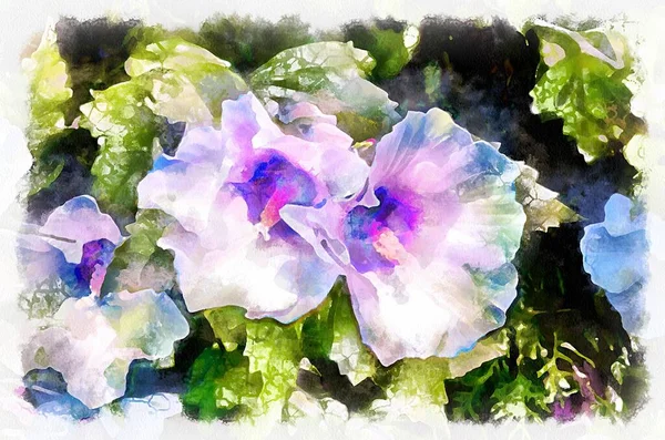 Watercolor Painting Blooming Flowers Modern Digital Art Imitation Hand Painted — Stock Fotó