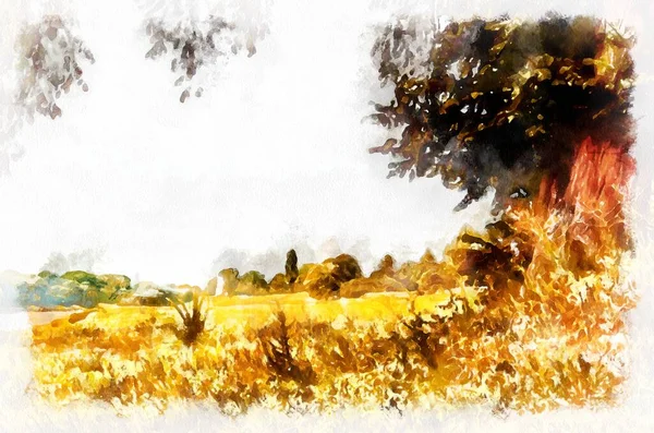 Watercolor Painting Suburban Landscape Bright Sunny Day Modern Digital Art — 스톡 사진