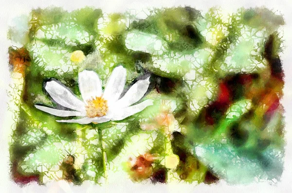 Watercolor painting of blooming cosmos flower. Modern digital art, imitation of hand painted with aquarells dye