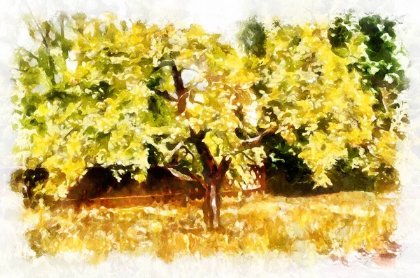 Watercolor Painting Apple Tree Bright Sunny Day Modern Digital Art — Φωτογραφία Αρχείου