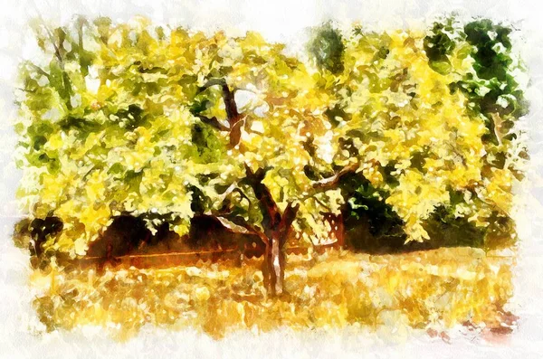 Watercolor painting of apple tree in bright sunny day. Modern digital art, imitation of hand painted with aquarells dye
