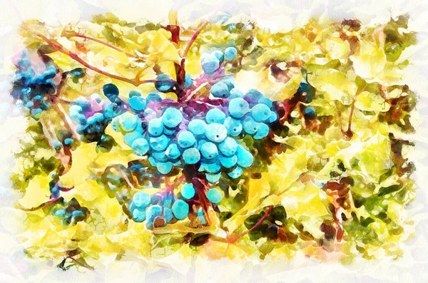Watercolor Painting Blue Berries Modern Digital Art Imitation Hand Painted — Stock Photo, Image