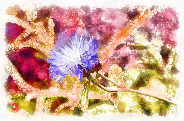 Virágzó Virág Akvarell Festése Modern Digitális Művészet Akvarell Festékkel Festett — Stock Fotó