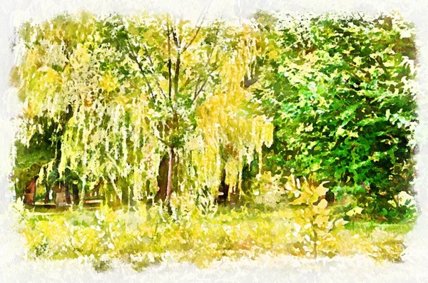 Watercolor Painting Park Suburban Landscape Bright Sunny Day Modern Digital — Photo