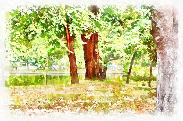 Watercolor Painting Park Suburban Landscape Bright Sunny Day Modern Digital — Stok Foto