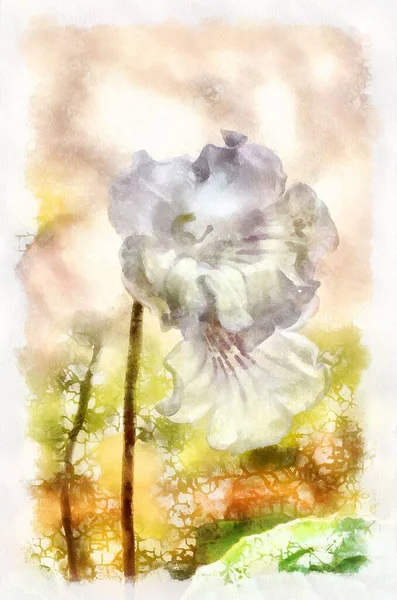 Watercolor Painting Blooming Flower Modern Digital Art Imitation Hand Painted — Foto Stock