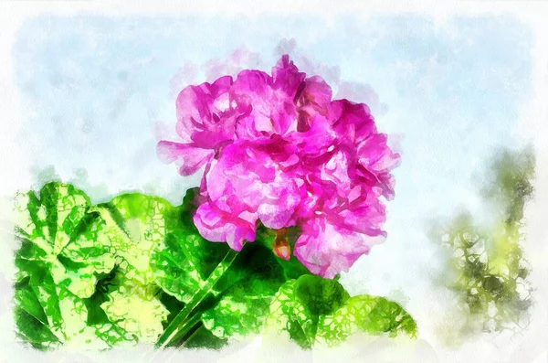 Watercolor Painting Blooming Flowers Modern Digital Art Imitation Hand Painted — Photo