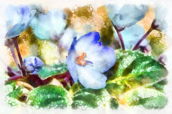 Watercolor Painting Blooming Flowers Modern Digital Art Imitation Hand Painted — Photo