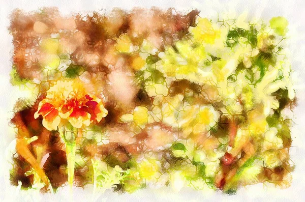 Watercolor Painting Blooming Flower Modern Digital Art Imitation Hand Painted — Photo