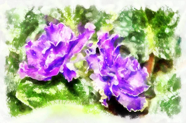 Watercolor Painting Blooming Flowers Modern Digital Art Imitation Hand Painted — Foto Stock