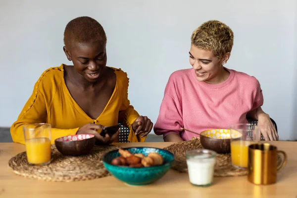 Mutlu kadınların yatay görüntüleri internette komik blogları tartışıyor, cep telefonu kullanıyor, evde sağlıklı yemekler yiyor.