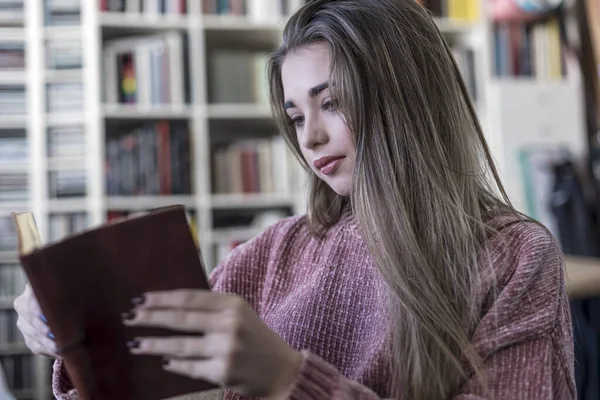 Zrelaksowana Młoda Kobieta Czytająca Książkę Sofie Domu — Zdjęcie stockowe