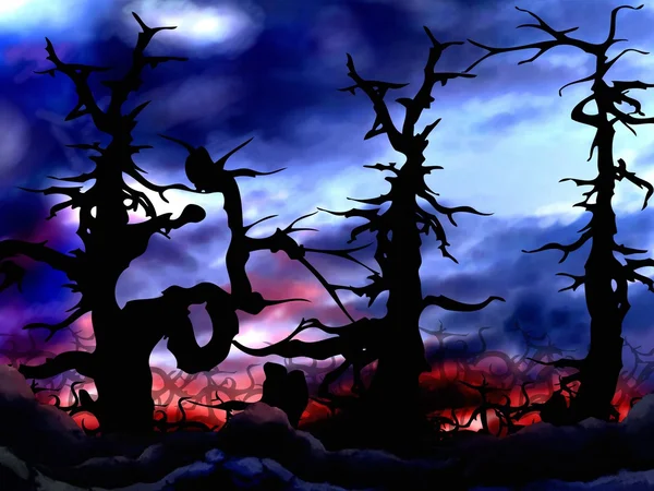 Mörk och skrämmande skog träd bakgrund — Stockfoto