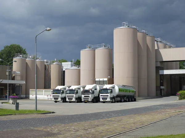 süt tozu fabrikası