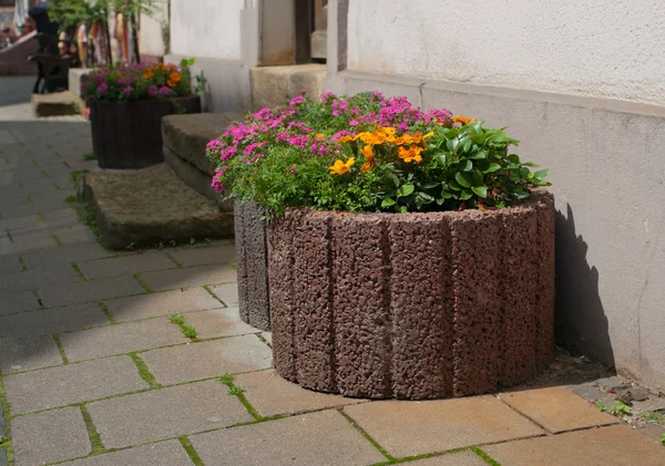 Planters with flowers — Stock Photo, Image