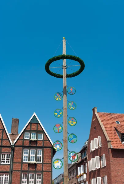Maypole in Munster, Germany — Stock Photo, Image