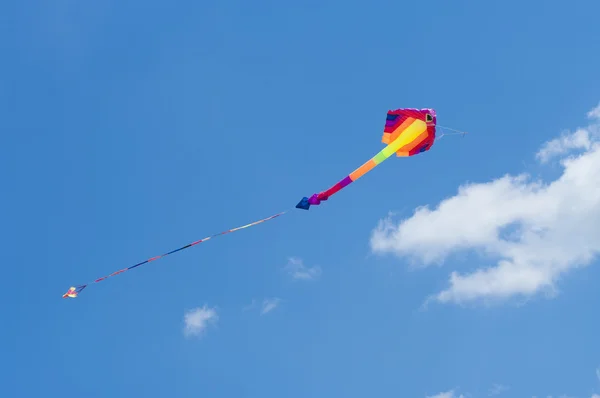 Kleurrijke kite — Stockfoto