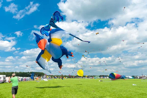 Kite festival — Stock Photo, Image